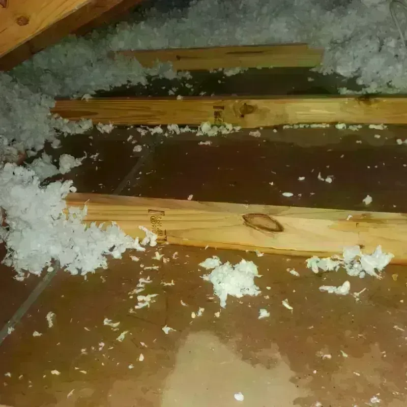 Attic Water Damage in Lakeshire, MO