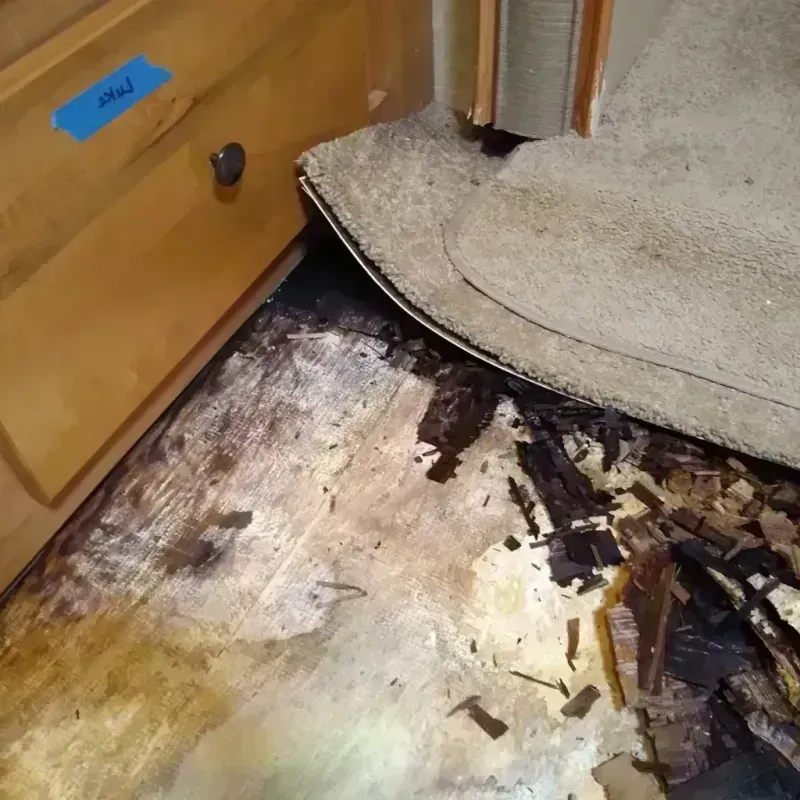 Wood Floor Water Damage in Lakeshire, MO